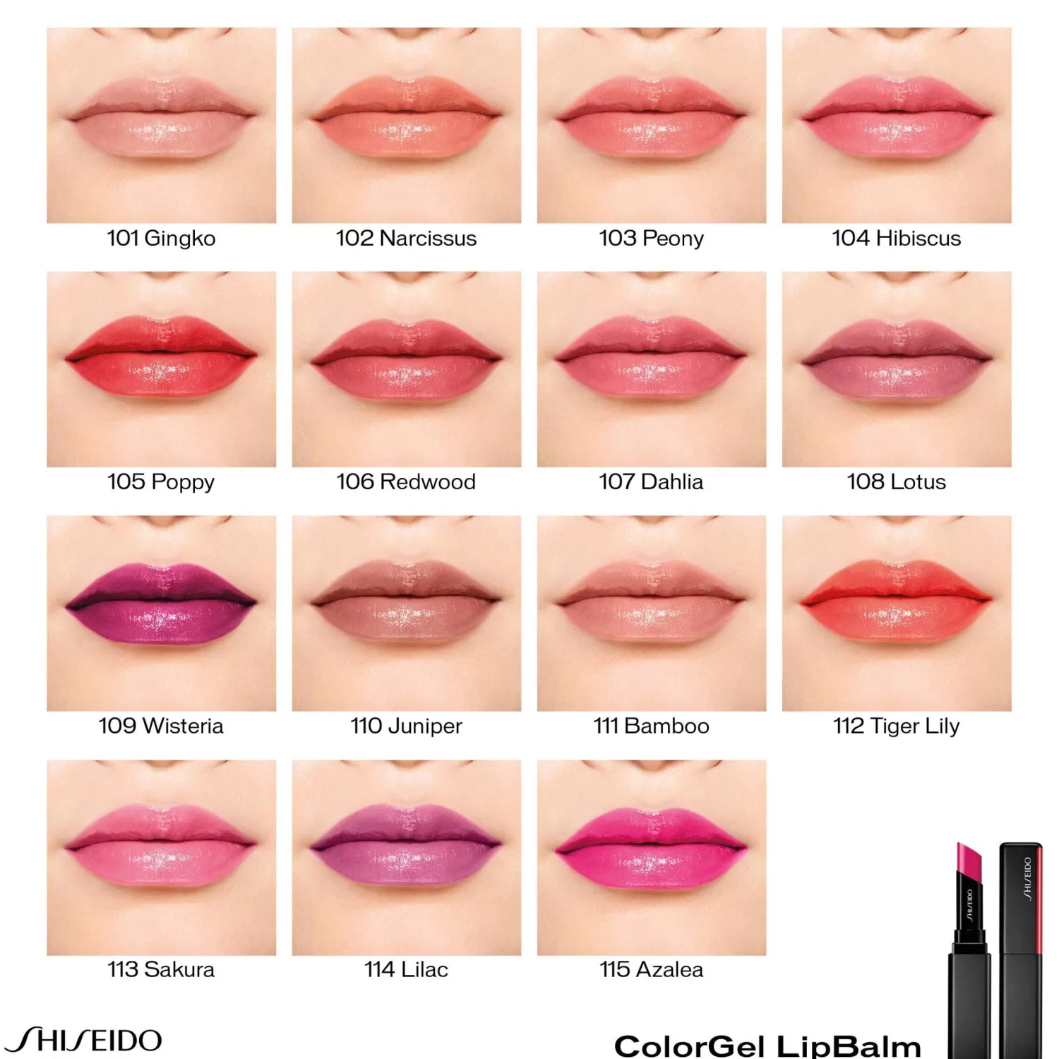 Shiseido Colorgel Lipbalm
