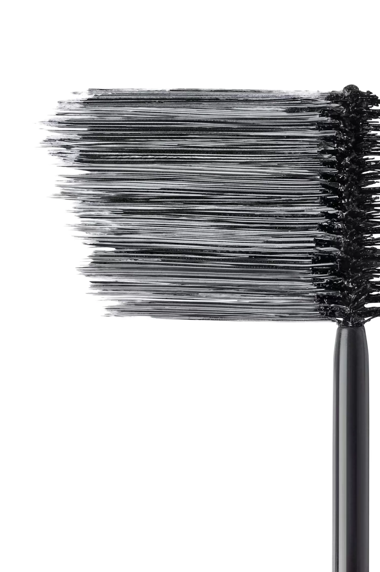 L'Oréal Paris Paradise Mascara