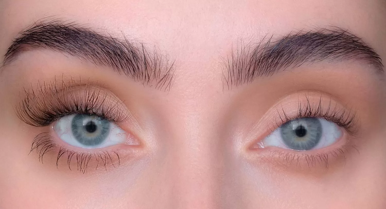 Sweed Lashes Choco